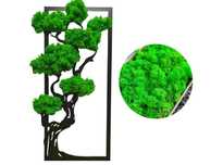 Żywy obraz z mchu chrobotka PREZENT Bonsai Ozdoba Obraz na ścianę 60cm