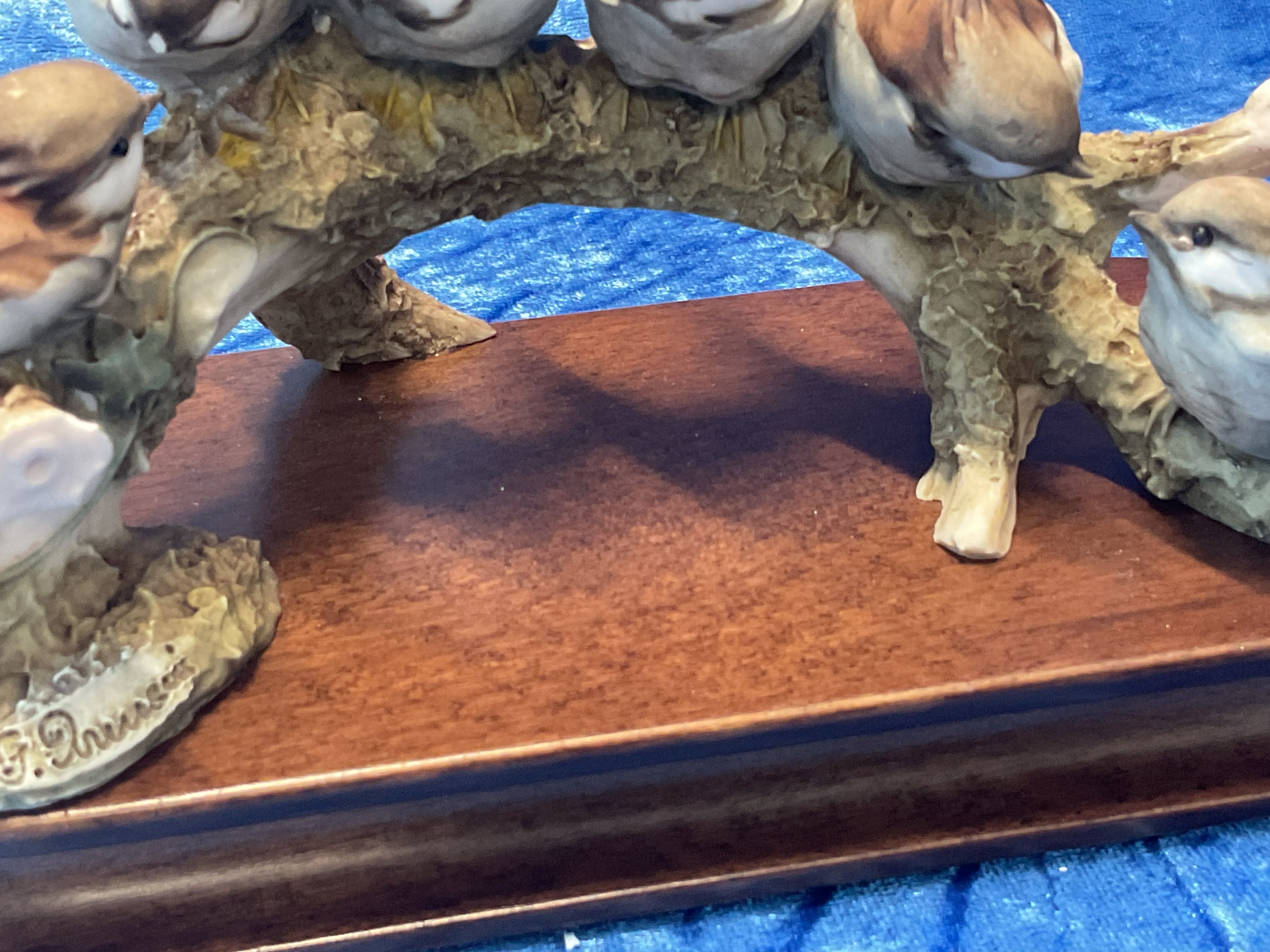 Aves em tronco ,,20 cm longo .
