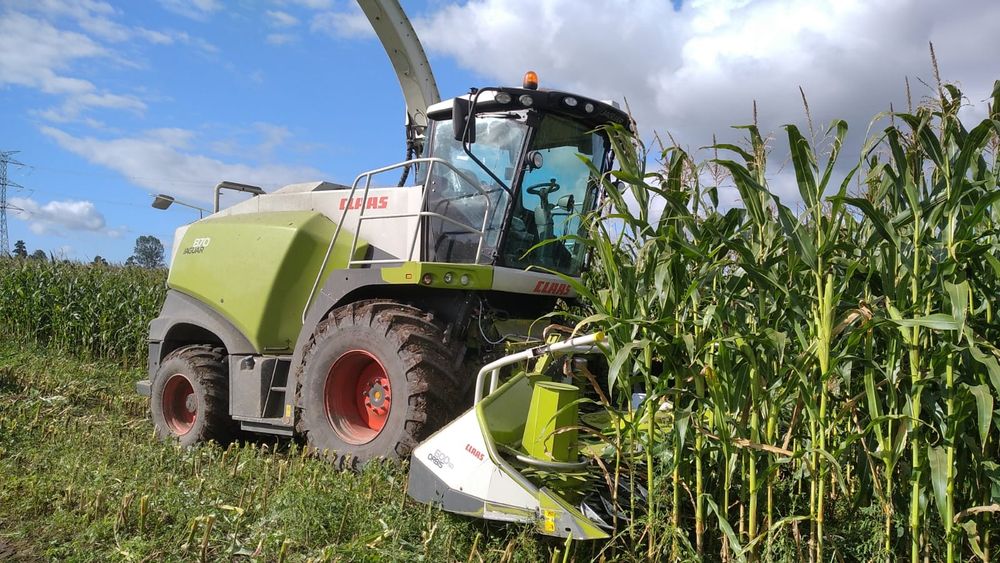 Mobilna mieszalnia pasz młyn pasza śrutowanie gniecenie