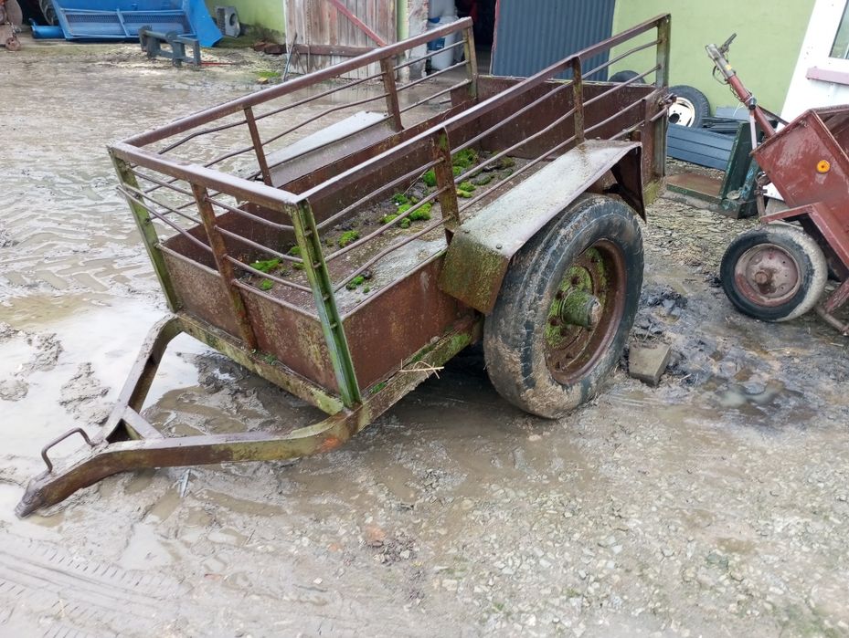 Przyczepka do przewozu zwierząt (rejestrowana)