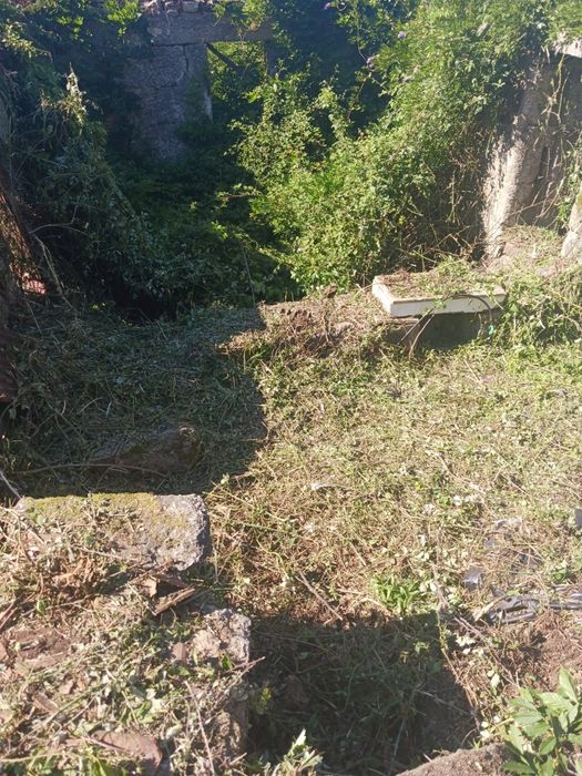 Jardinagem e limpeza florestais