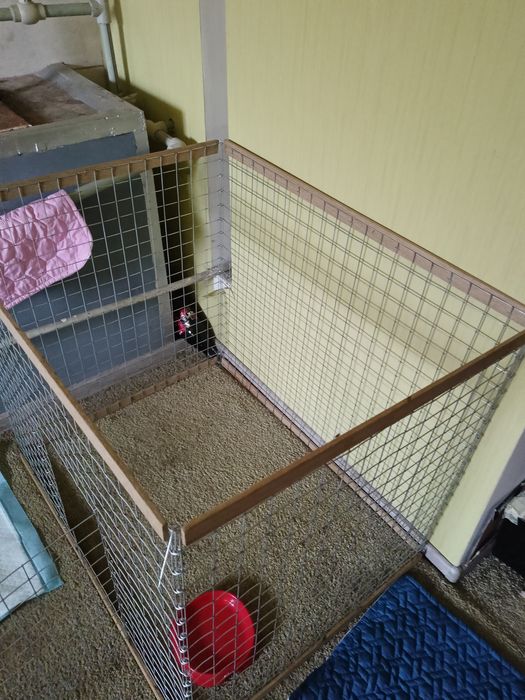 Вольєр для тварин