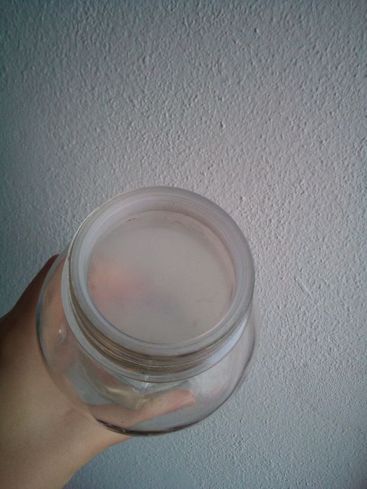 Frasco de vidro (terrarium)