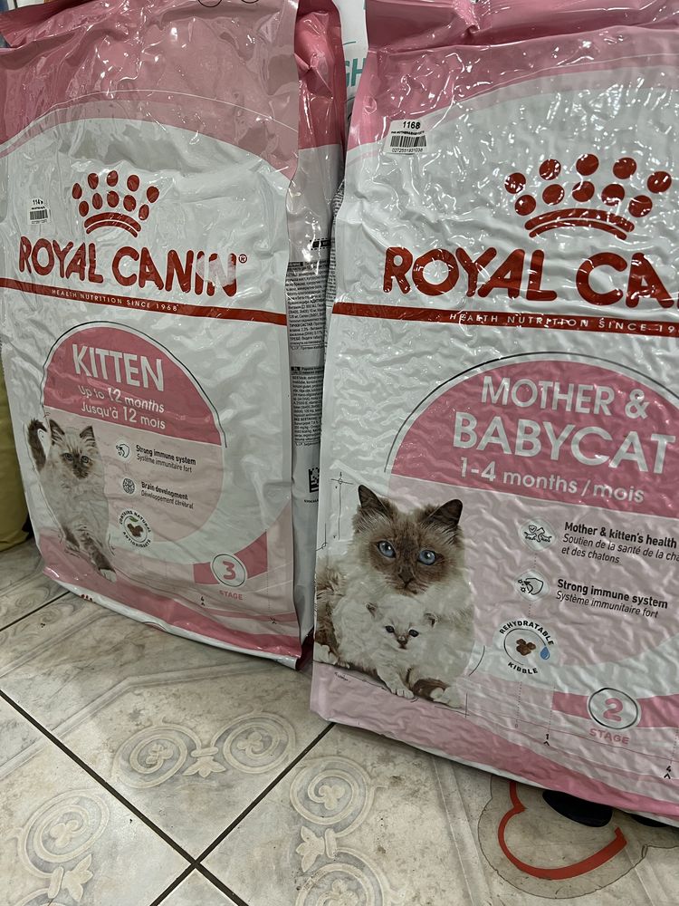 Royal Canin Kitten 10кг BabyCat 10кг