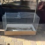 Клітка для птахів велика