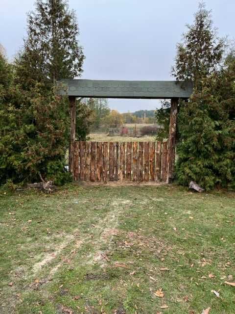 Domek, chatka na wsi, za wsią pod lasem podlaskie