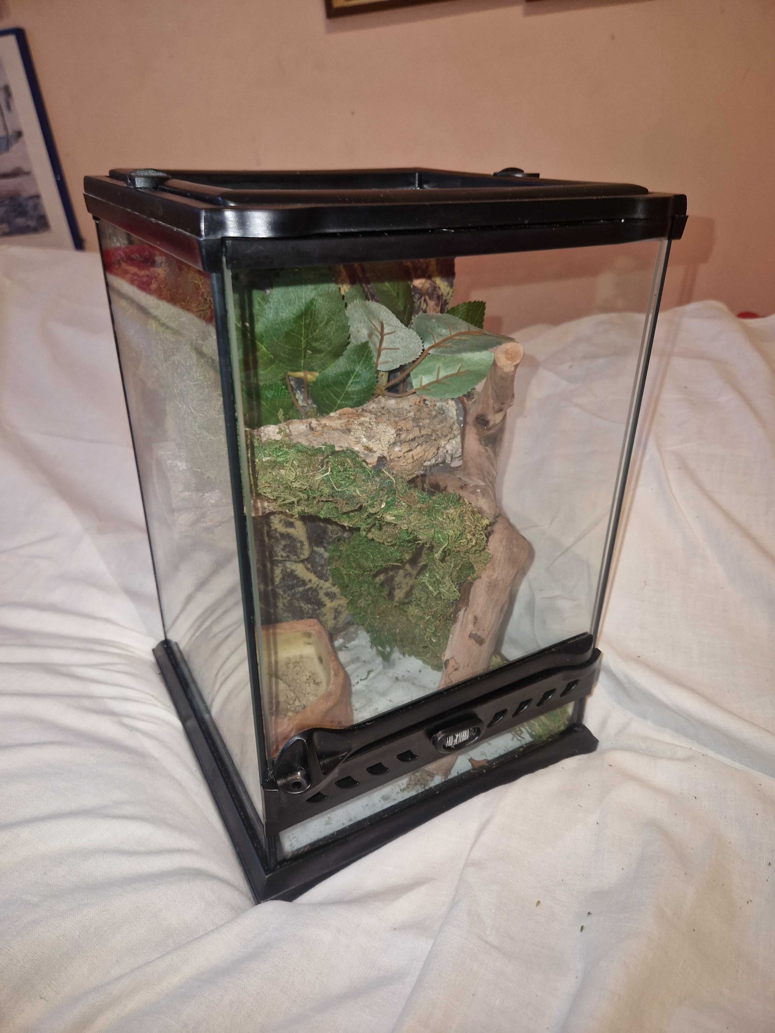 NOWE EXO-TERRA Terrarium szklane NANO TALL 20X20X30 cm