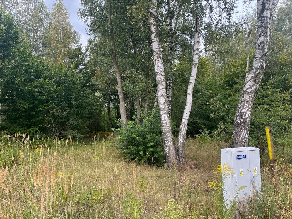 Wyjątkowa działka budowlana w Rawiczowie