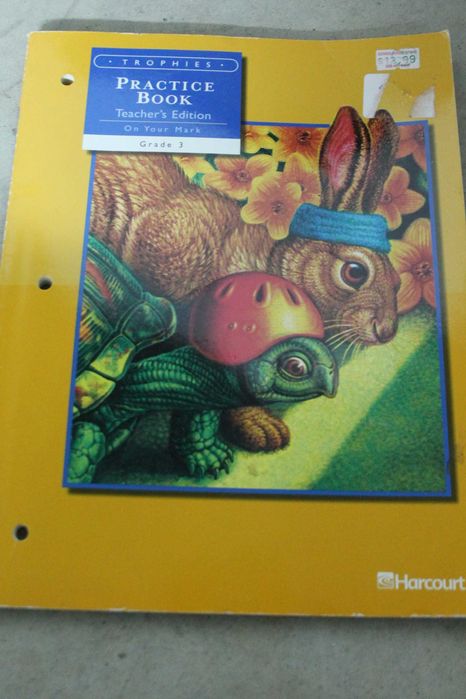 Livro em Inglês - Practice Book