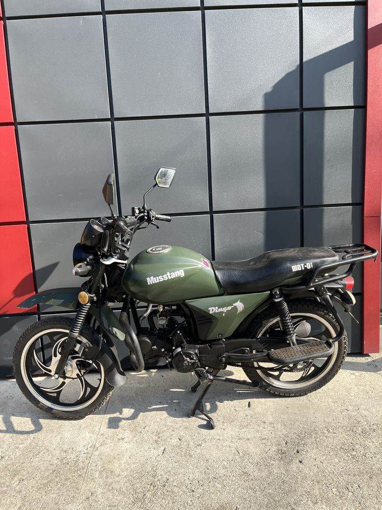 Мустанг Dingo Б/У 125