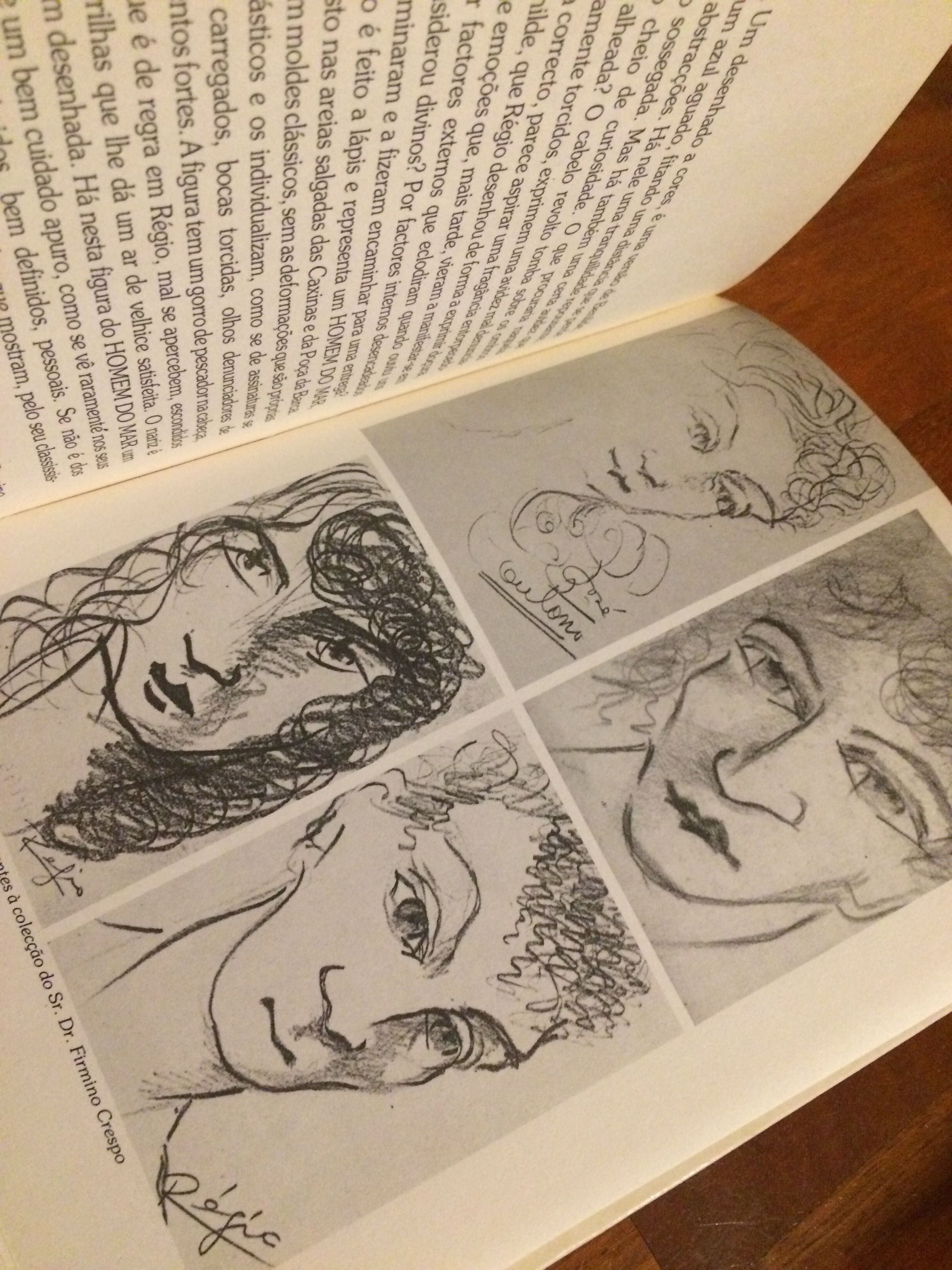 Os desenhos de Régio