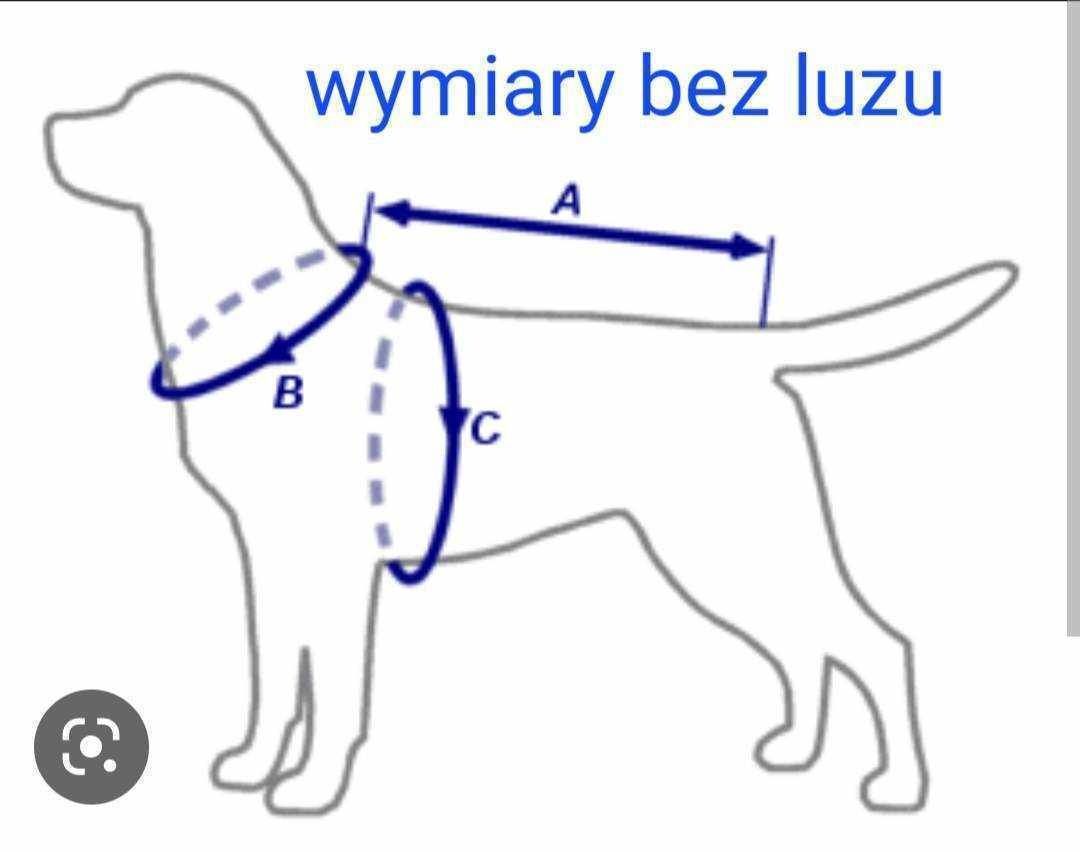 szelki  dla york maltańczyk shih-tzu  szyte na miarę