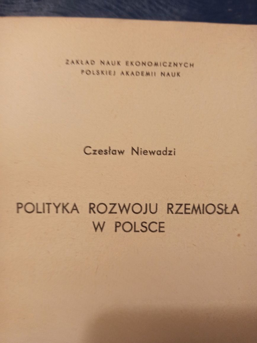 Niewadzi polityka rozwoju rzemiosła w Polsce