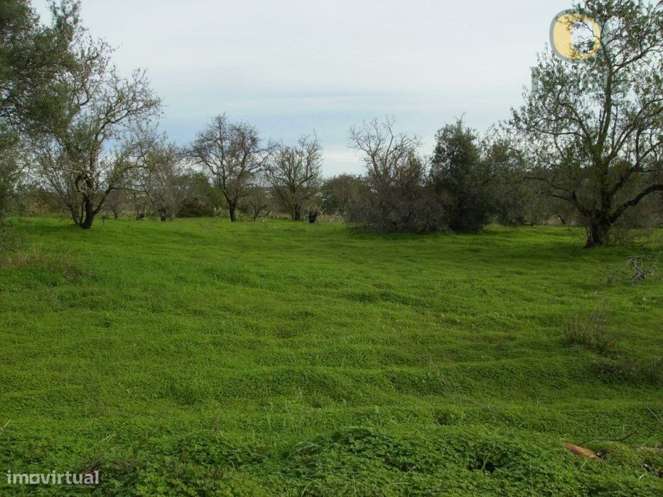 Lote de 2 terrenos com 8560 m2