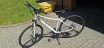 Rower Romet Cross
