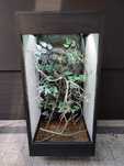 Terrarium 50x50x100 z płyty meblowej kameleon jaszczurka KOŚCIAN