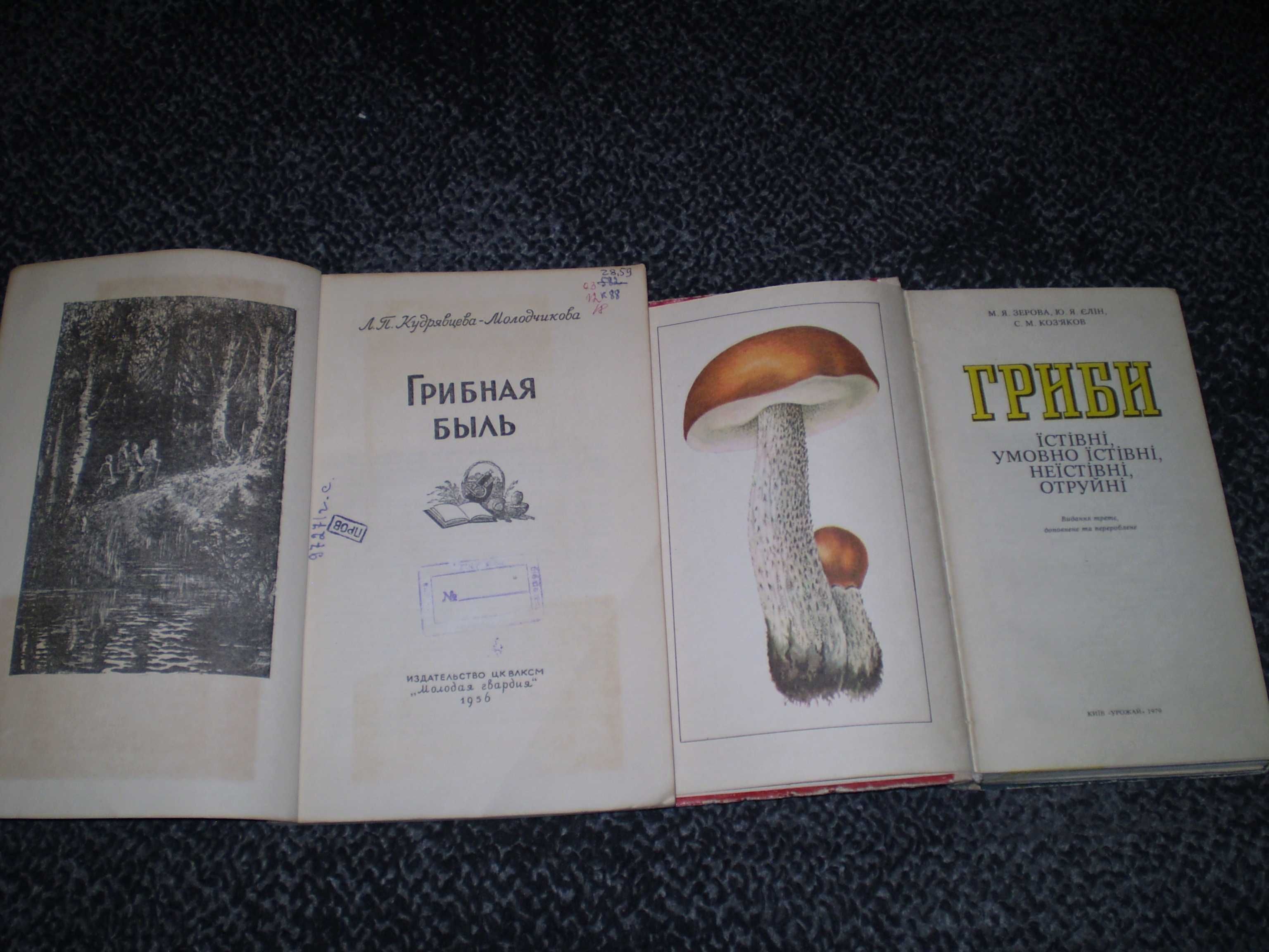 Зерова, ін. Гриби їстiвнi та ін. Кудрявцева-Молодчикова Грибная быль.