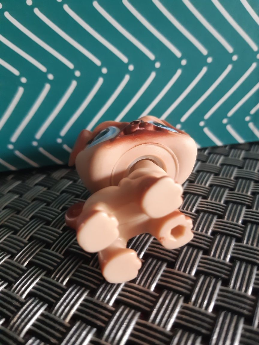 Mops #623 Hasbro