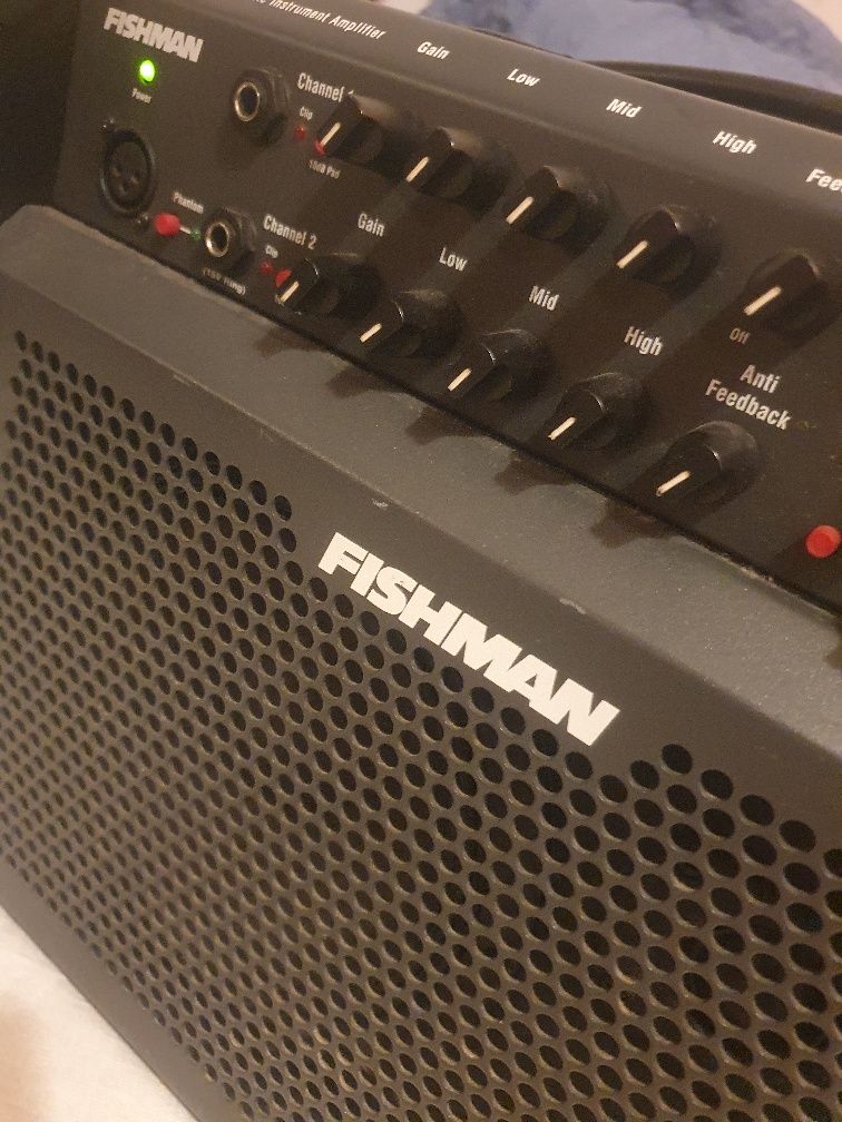 Fishman Loudbox 100
