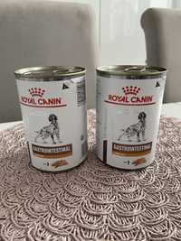 Karma mokra Royal Canin