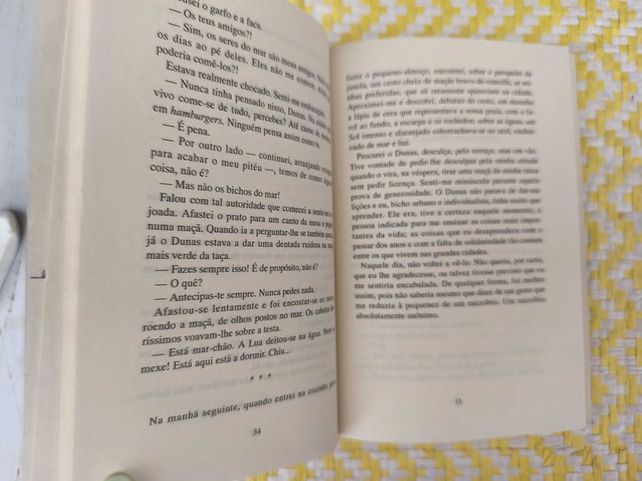 O GUARDA DA PRAIA – 
Maria Teresa Maia Gonzalez