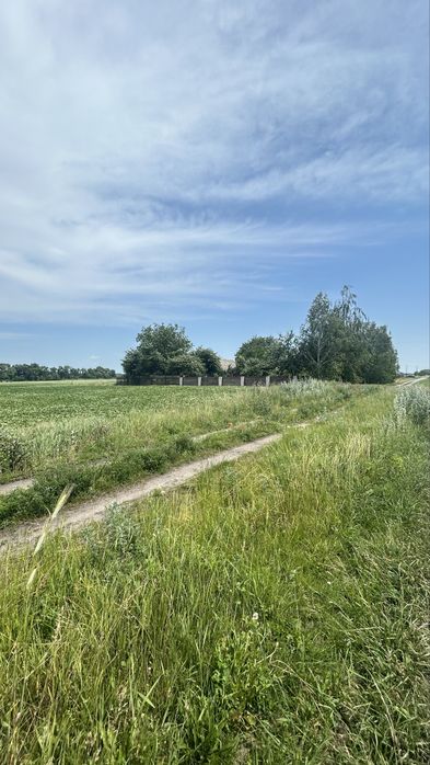 Продаж земельної ділянка в с.Паляничинці