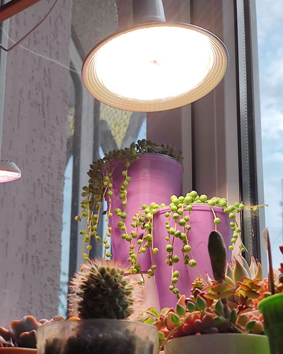 Фітолампа світильник для рослин повного спектру біле світло