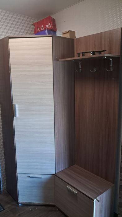 Шафа і вішалка в передпокій