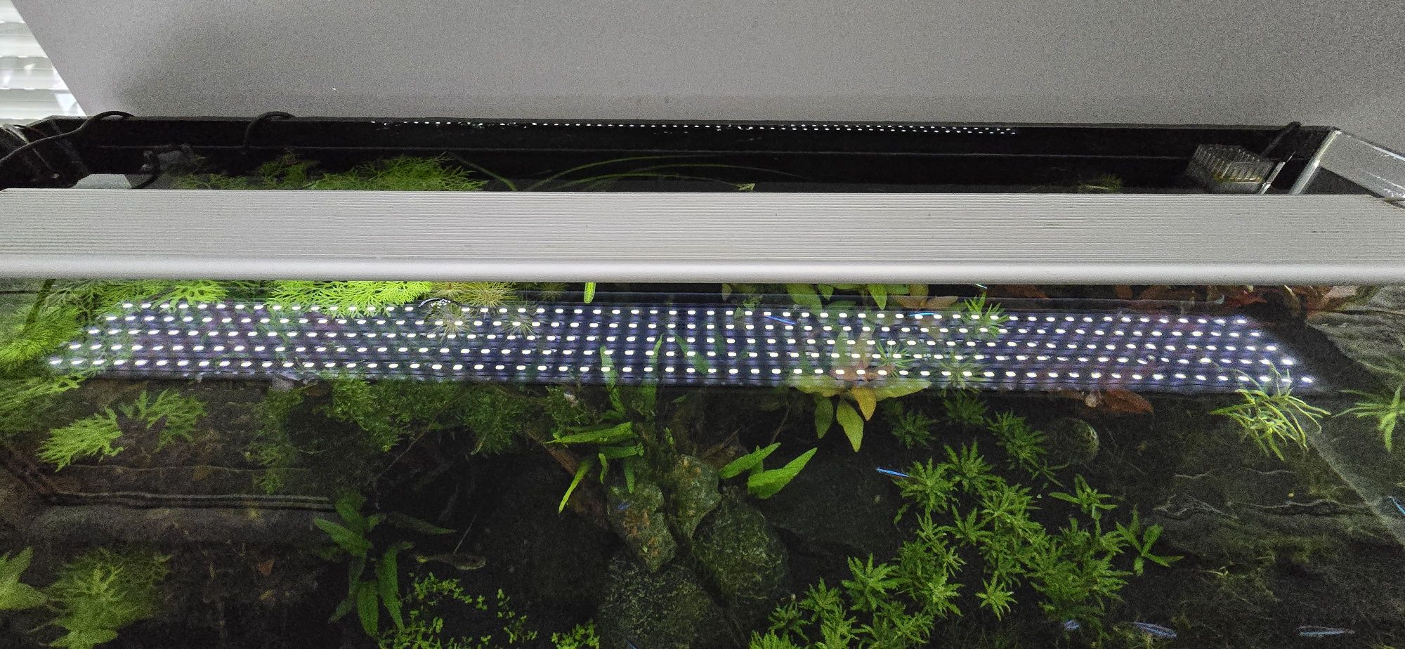 Chihiros A LED A-901 PLUS [95W]  z BT Chichiros Commander 1 controller
