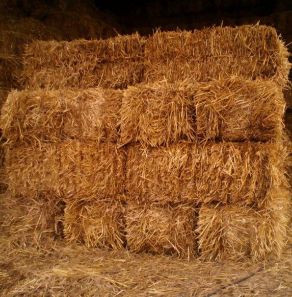 Продаються тюки соломи і вівсянки