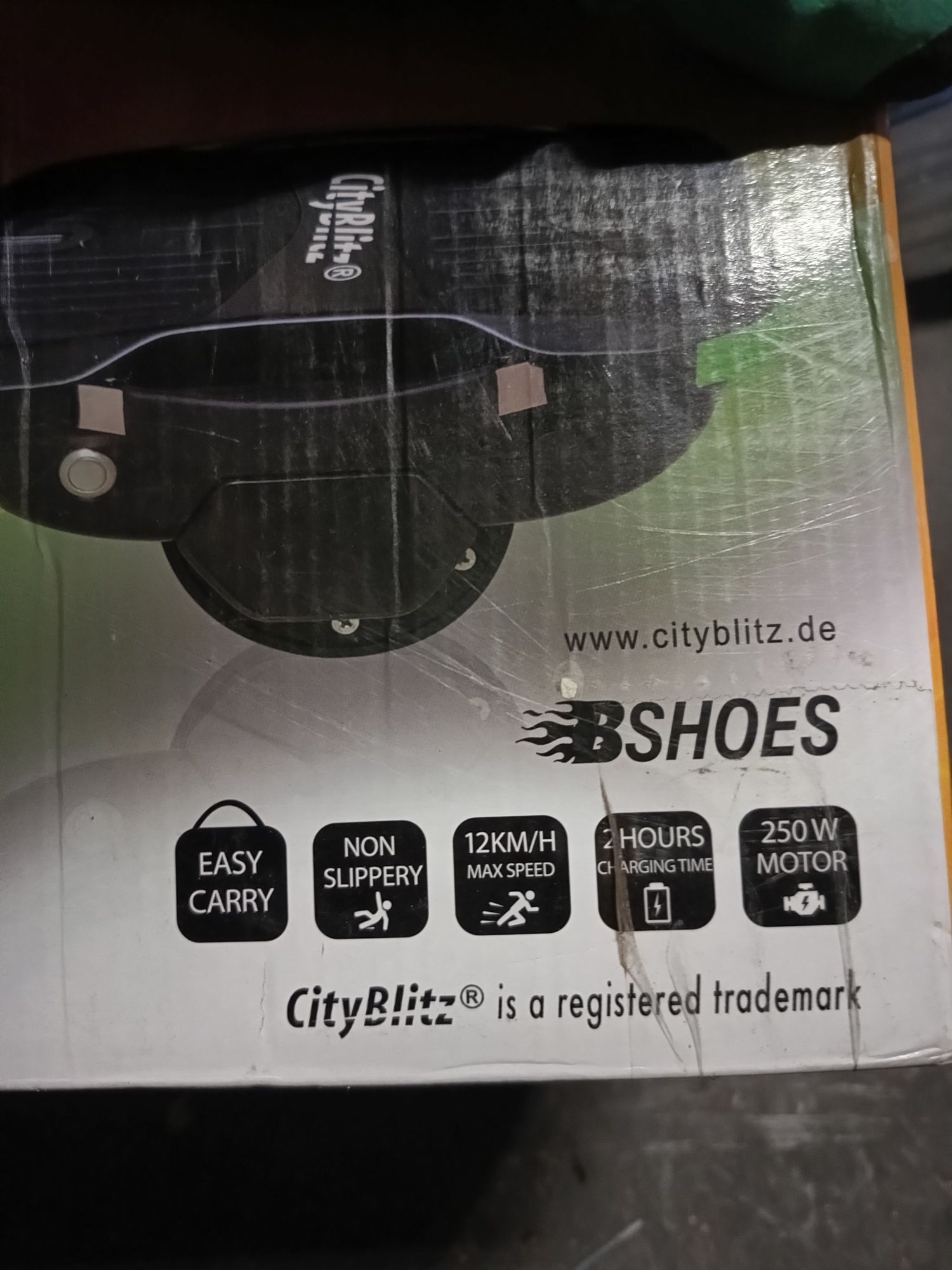 Електроролики Germany 24 v 250 ват CityBlitz