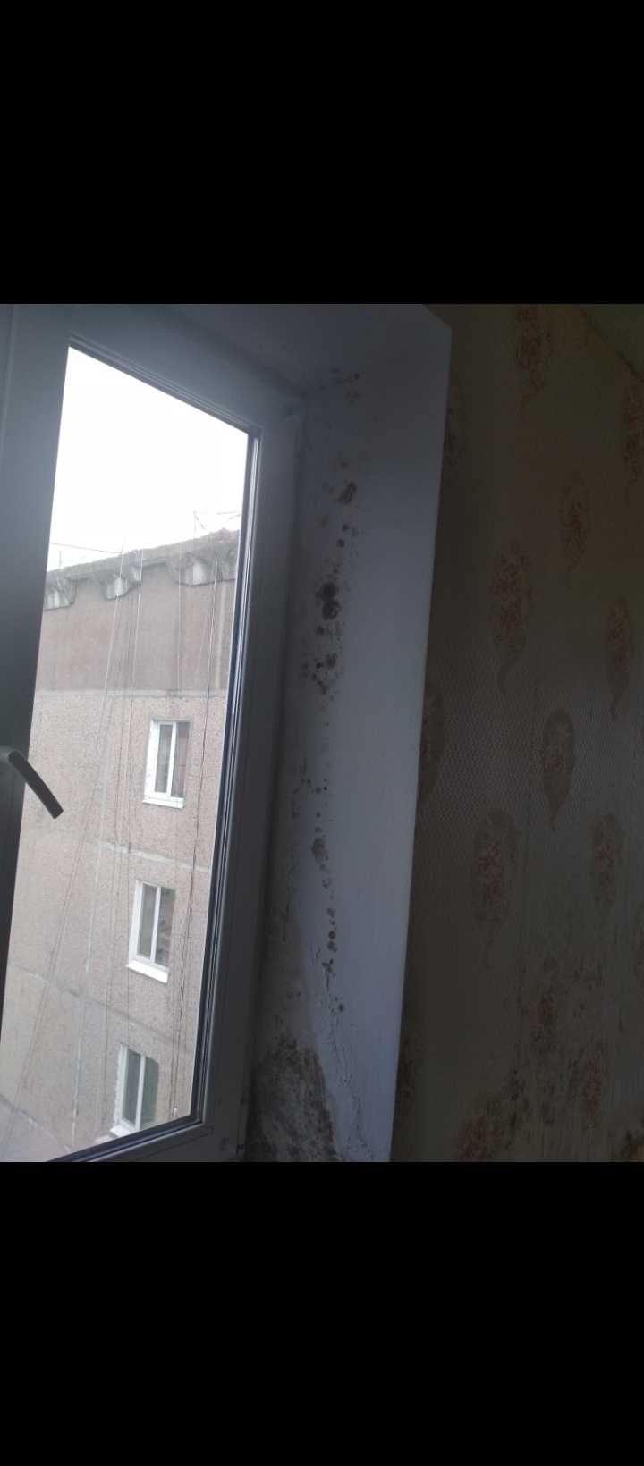 Средство от плесени, грибка