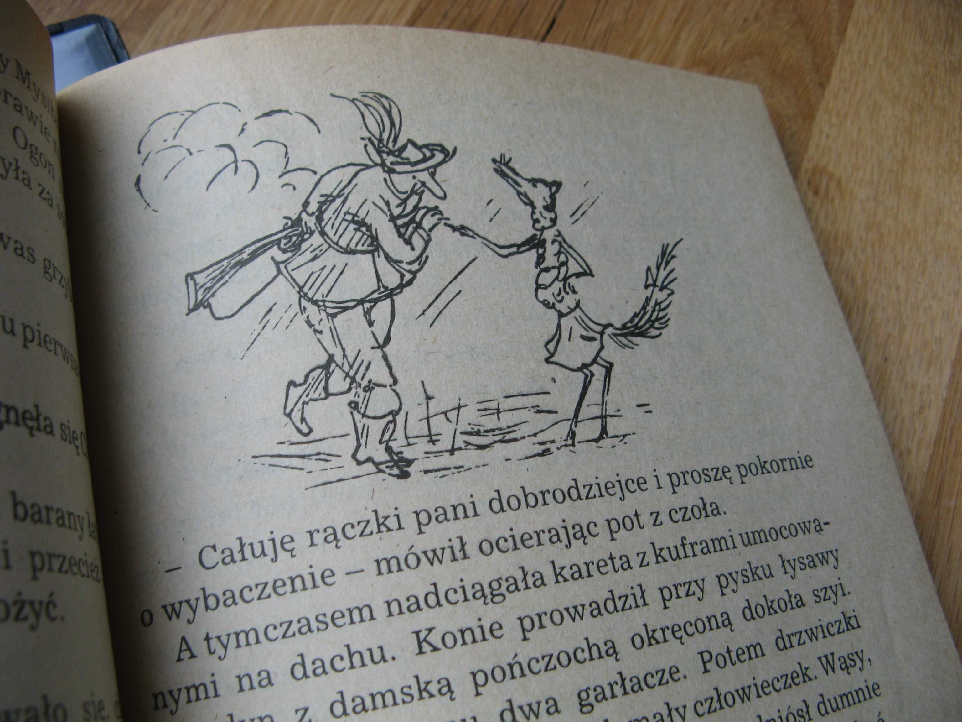 Porwanie w Tiutiurlistanie W.ŻUKROWSKI (książka + płyta DVD) bajka PRL