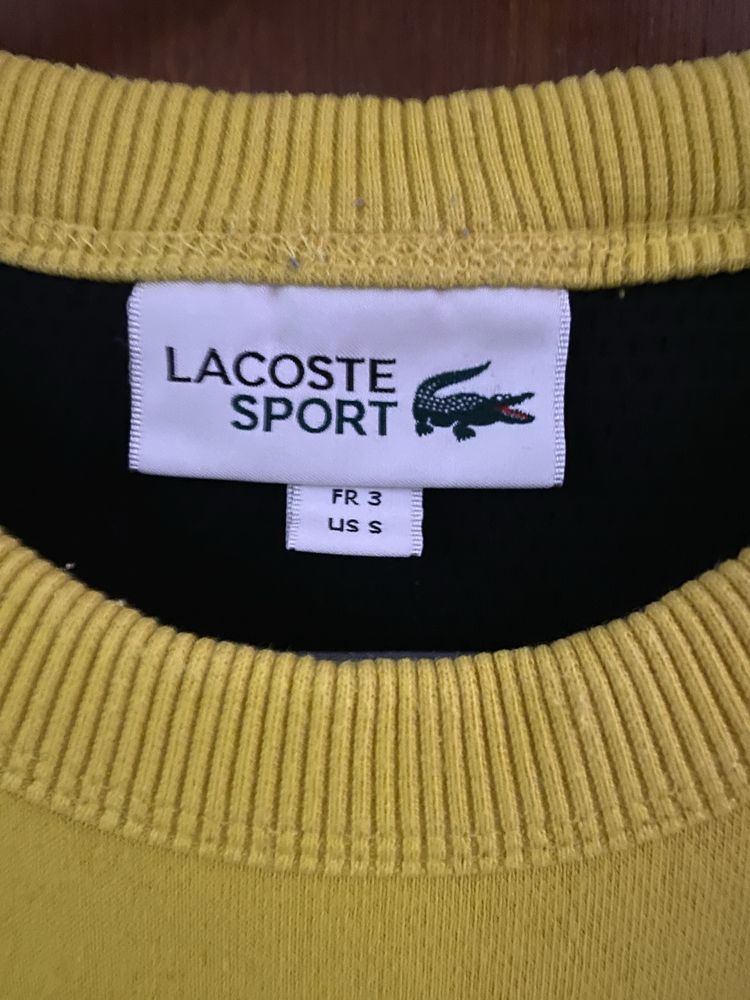 Camisola lacoste