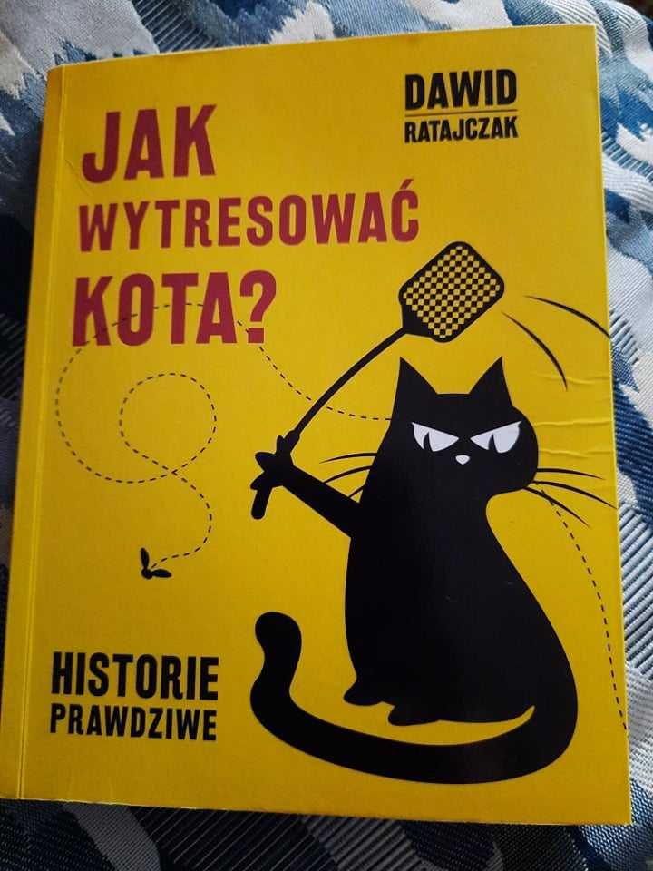 Jak wytresować kota - historie prawdziwe