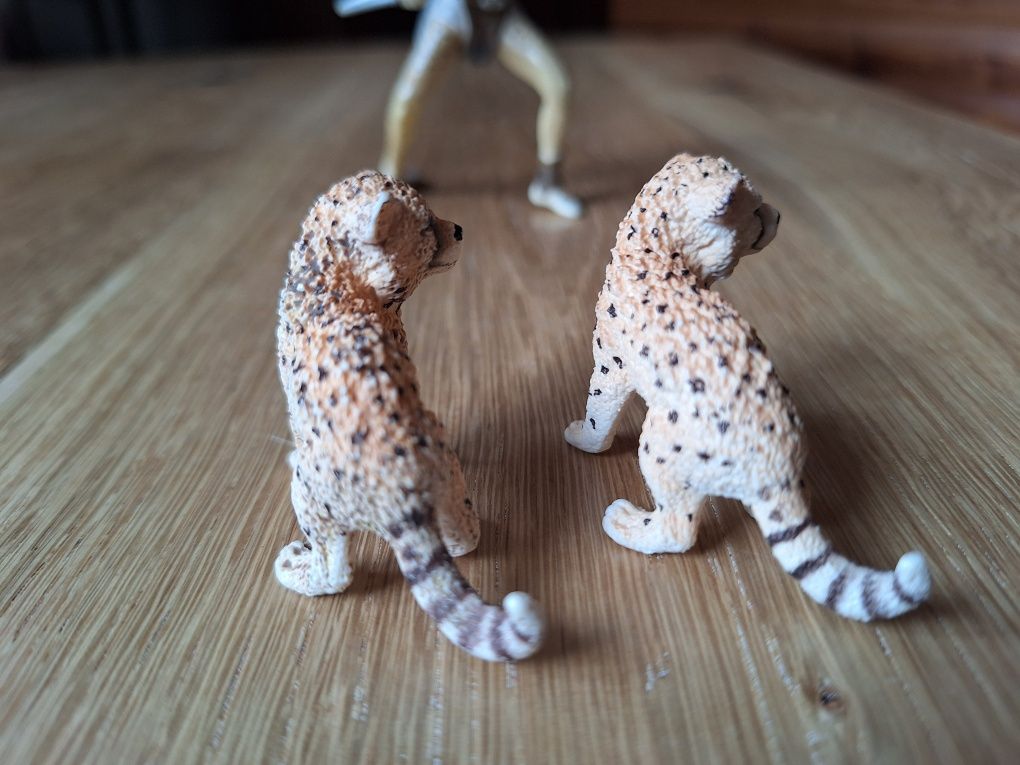 Zestaw gepardów Schleich: 2 młode gepardy plus wojowniczka Liassa