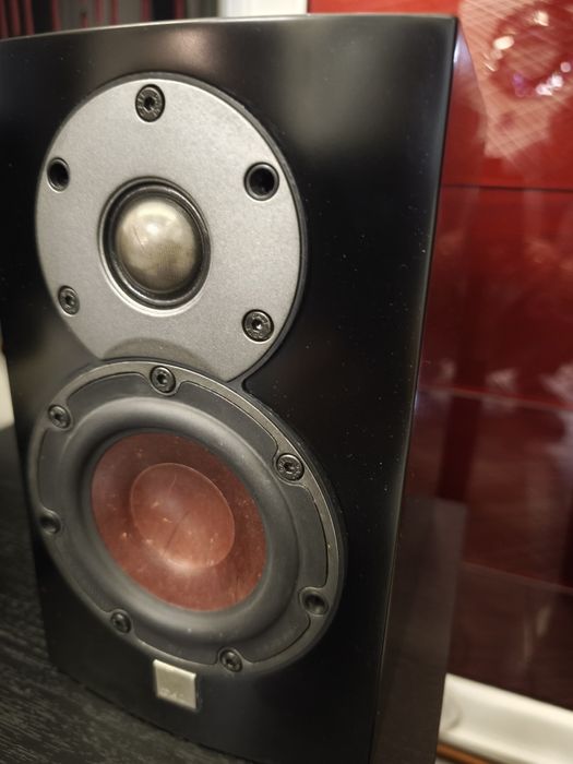 Dali menuet mentor,czarne para.