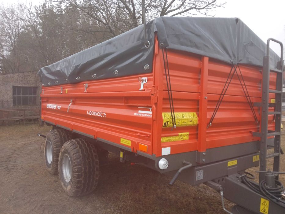 Drzewo mieszane, brzoza,dąb,sosna.