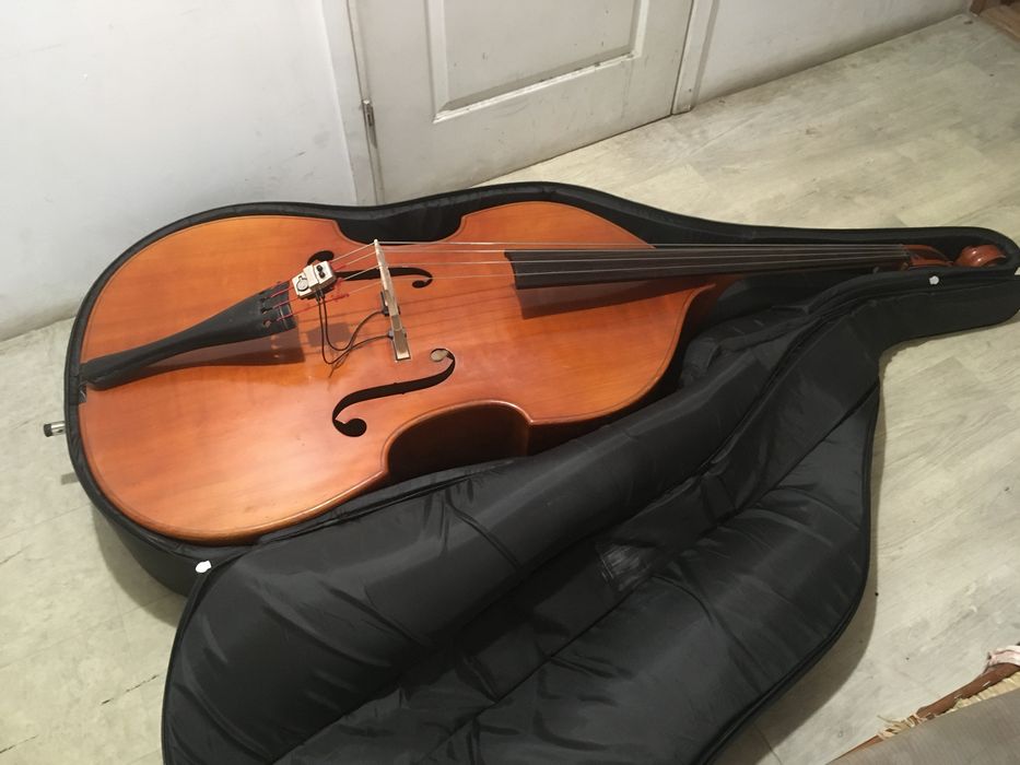 Kontrabas musima jawor falisty świerk