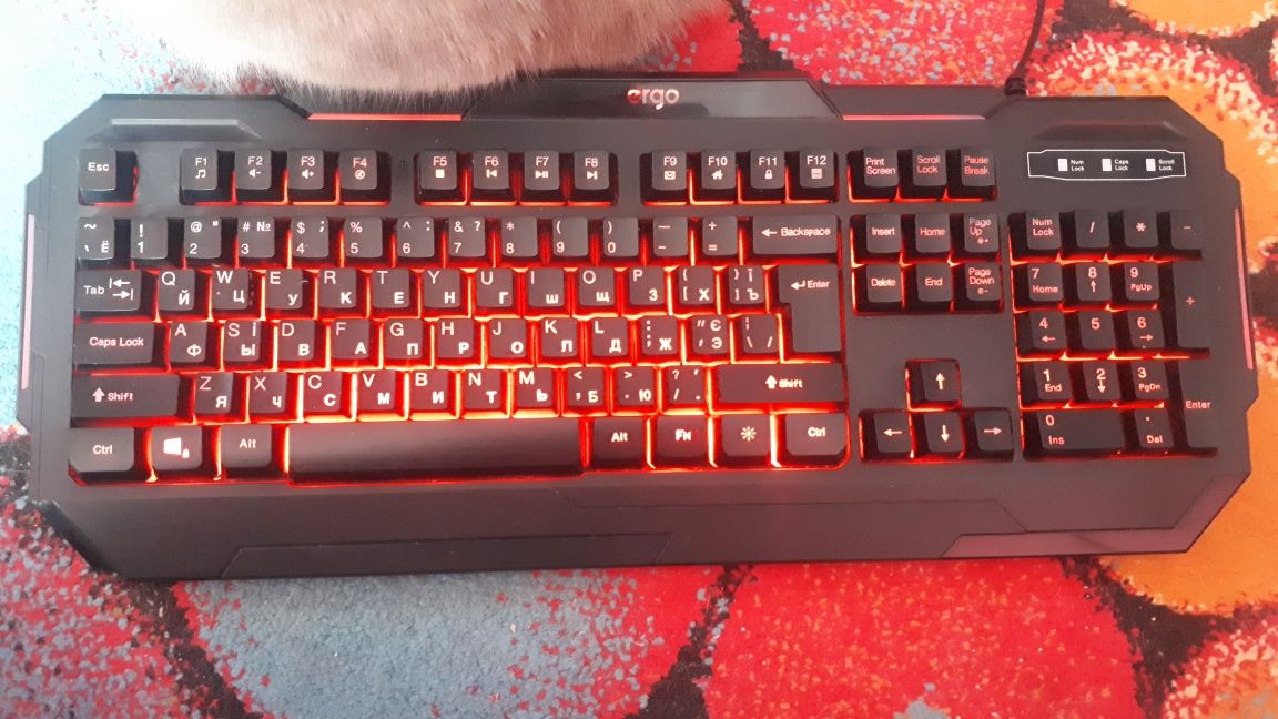 Клавиатура с RGB подсветкой