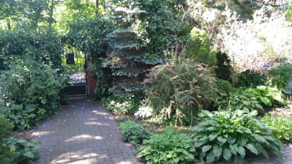 Dostępny od zaraz samodzielny pokój dla jednej osoby w Zielonce