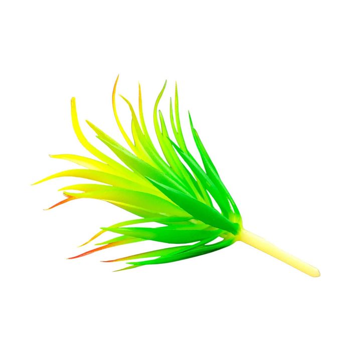 Roślina sztuczna – Tillandsia Brachycaulos Abdida Green – Rozmiar M