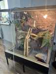 Sprzedam terrarium