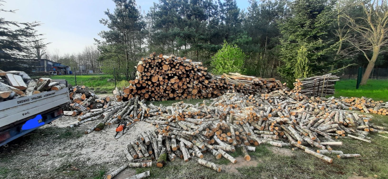 Wycinanie,wycinka drzew,krzaków cięcie rąbanie drewna  itp.