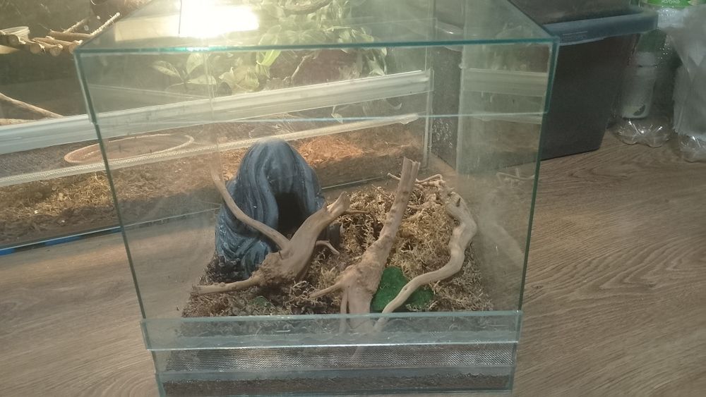 Терраріум 30х30х30 (з дефектом)