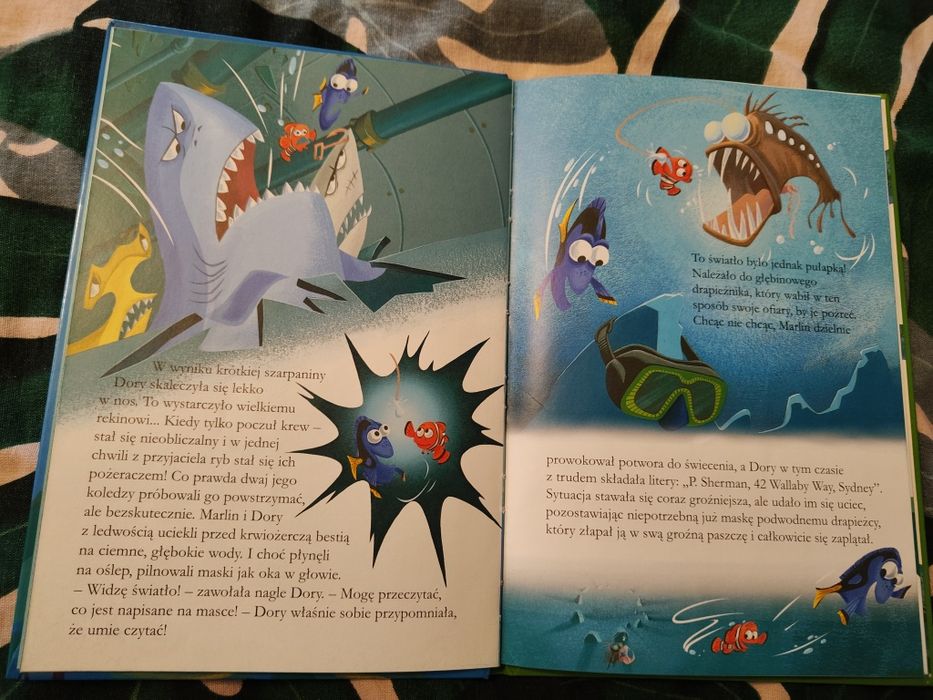 Książka "Gdzie jest Nemo"