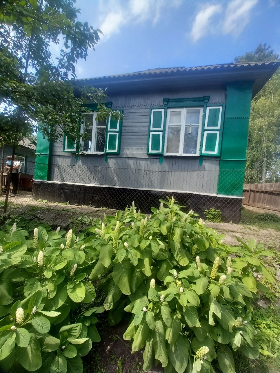 Продам дом на гастело