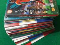Karty Panini Euro 2020 (105 sztuk)