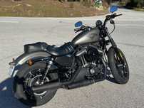 Harley-Davidson 883 Iron