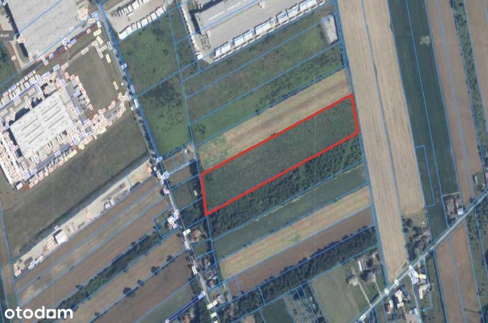 33 000 m2 Dobra koło Strykowa